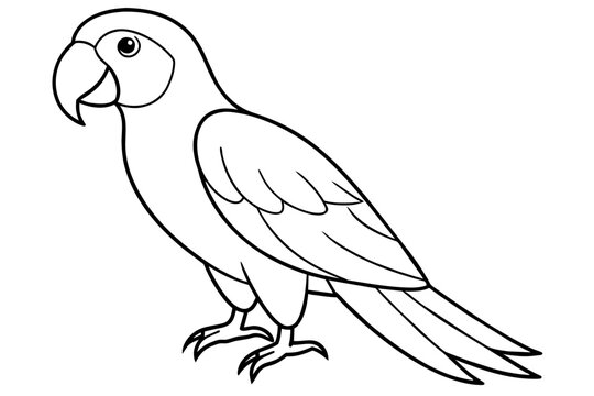 recommend clip art: macaw bird line art silhouette vector illustration