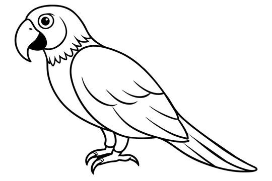 recommend clip art: macaw bird line art silhouette vector illustration