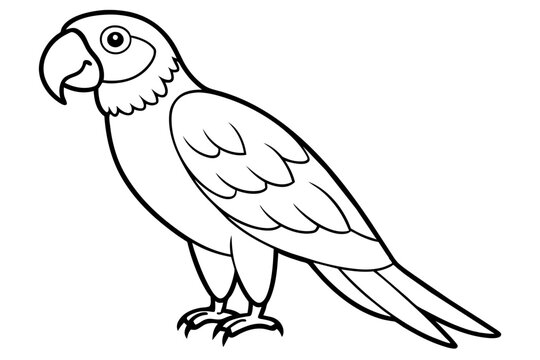 recommend clip art: macaw bird line art silhouette vector illustration