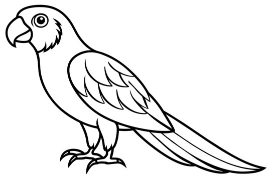 recommend clip art: macaw bird line art silhouette vector illustration