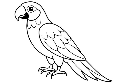 recommend clip art: macaw bird line art silhouette vector illustration