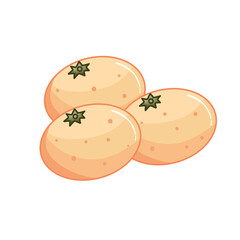 Orange fruits illustration 