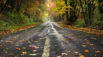 Obraz premium Close-up of an empty rural road meandering through autumn woods, fallen leaves scattered, serene and deserted, no humans 