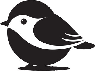 black and white duck