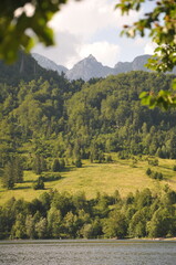autumn landscape in the mountains