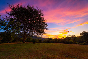 The tree on grass hill field beside is empty bench with beautiful sky during sunset or sunrise, landscape view.