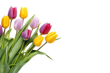 Naklejka premium Tulip on a transparant background, PNG, Generative AI