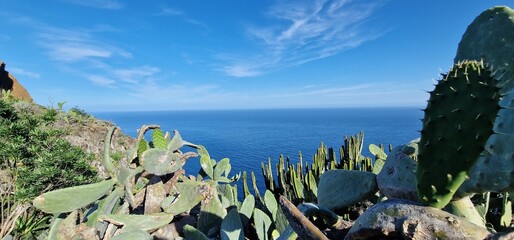 sceneries cliffs and coast of tenerife island steep rocky landscape and atlantic ocean © Michaela Holubová