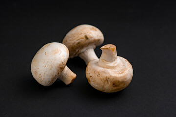 fresh champignons mushrooms on black background