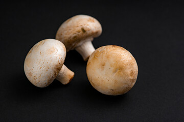 fresh champignons mushrooms on black background