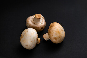 fresh champignons mushrooms on black background