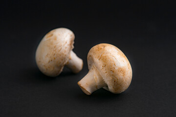 fresh champignons mushrooms on black background