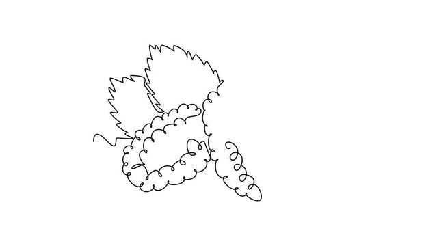 Animated self drawing of continuous line draw whole healthy organic mulberry with leaf for orchard logo identity. Fresh berry fruitage concept for fruit garden icon. Full length single line animation