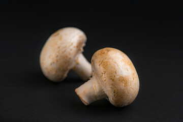 fresh champignons mushrooms on black background