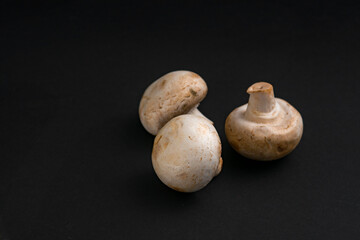 fresh champignons mushrooms on black background