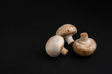 fresh champignons mushrooms on black background