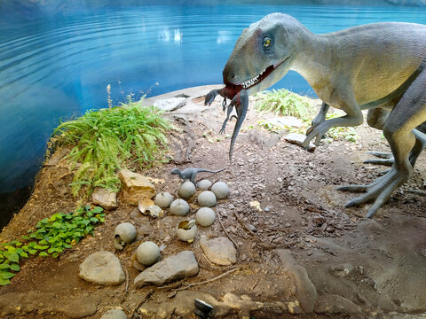 Dinosaur with his babies and eggs sculpture scene exhibited at trelew airport, argentina