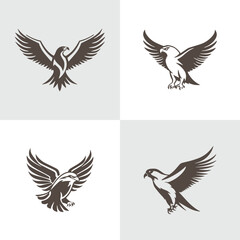 Obraz premium Collection of Eagle icons. Logo of hawk. Hawk simple icon. eagle vector symbols.Set of hawk