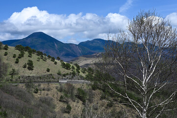 ビーナスラインから望む新緑の山々／長野県