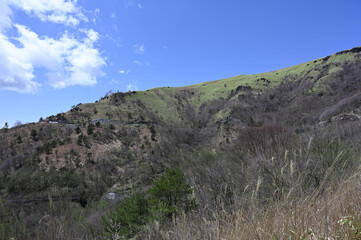 ビーナスラインから望む新緑の山々／長野県