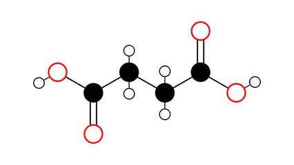 succinic acid molecule, structural chemical formula, ball-and-stick model, isolated image e363