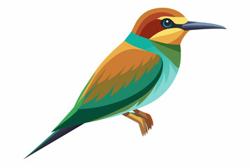  bee eater bird vector illustration