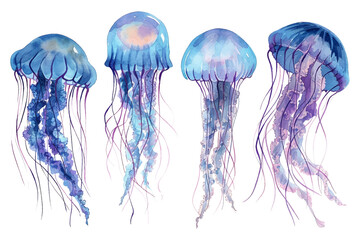 Naklejka premium Set of colorful jellyfish swimming marine creatures watercolor vector Illustrations