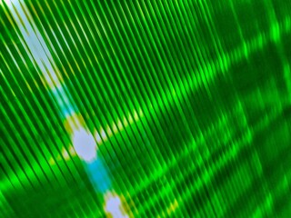 Closeup abstract palm leaf textures on dark blue tone, natural green background. Movement of fibre...