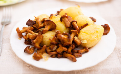 Delicious fried chanterelle mushrooms with new potatoes on a white plate
