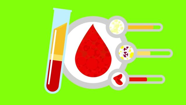 Blood testing by separating blood components such as red blood cells, white blood cells, platelets and plasma by showing the volume in the form of test tubes and graphs - white background(Vector style
