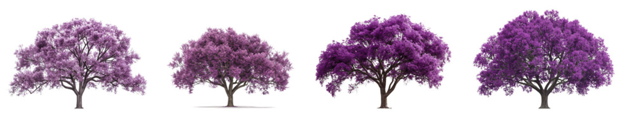 Fototapeta premium purple flowers trees collection isolated transparent or white background, 3d rendering