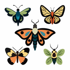 Set of butterflies moth lepidopteran insect papillon Vector silhouette