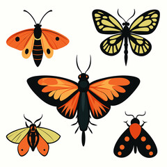 Set of butterflies moth lepidopteran insect papillon Vector silhouette © Chayon Sarker