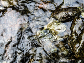 stone in water makes wonderful abstractions