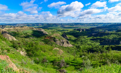 Lush greenery adorns the rugged terrain of a sprawling canyon under a vivid blue sky