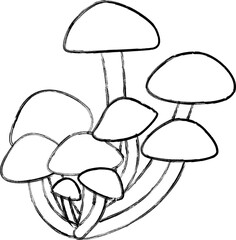 Honey mushrooms grow in the forest in autumn.