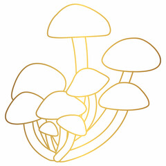 Honey mushrooms grow in the forest in autumn.