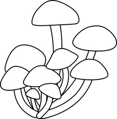 Honey mushrooms grow in the forest in autumn.