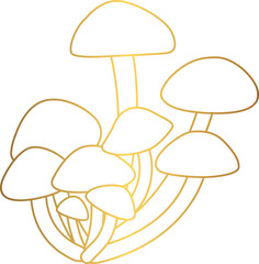 Honey mushrooms grow in the forest in autumn.