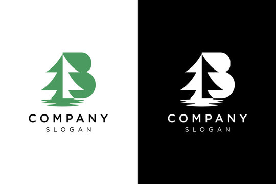 letter B and green spruce tree