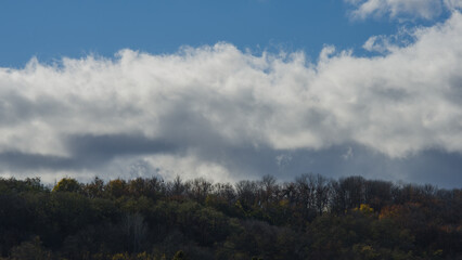 Blue sky and white clouds and deciduous forest.