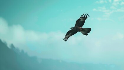 Graceful Black Kite Soaring Through the Azure Sky at 7:4