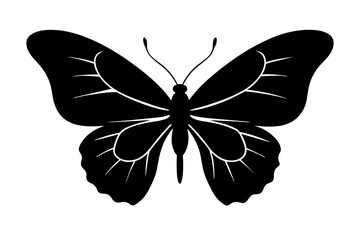 butterfly silhouette vector illustration