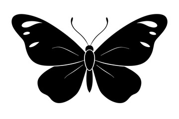 butterfly silhouette vector illustration