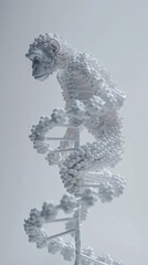 White Primate DNA Structure