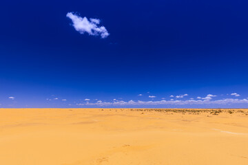Gorący dzień, pomarańczowy piasek pustyni Sahara, niebieski kolor nieba i palące słońce. Widok po horyzont, krajobraz. Egzotyczny kraj, Tunezja