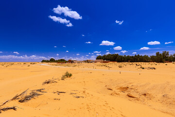 Gorący dzień, pomarańczowy piasek pustyni Sahara, niebieski kolor nieba i palące słońce. Widok po horyzont, krajobraz. Egzotyczny kraj, Tunezja © anettastar