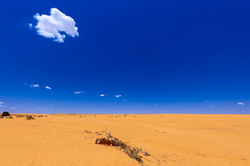 Gorący dzień, pomarańczowy piasek pustyni Sahara, niebieski kolor nieba i palące słońce. Widok po horyzont, krajobraz. Egzotyczny kraj, Tunezja © anettastar
