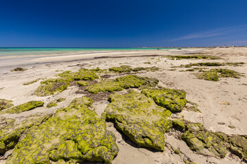 Krajobraz morski, piaszczysta plaża i wybrzeże, żółty piasek, widok na lazurowe morze, niebieski kolor nieba, wyspa Djerba, Tunezja. Tapeta, egzotyczne tło © anettastar