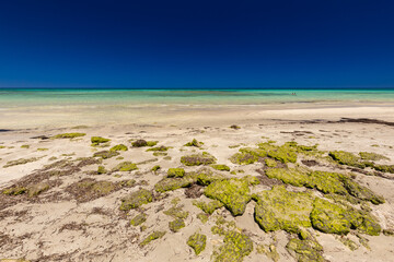 Krajobraz morski, piaszczysta plaża i wybrzeże, żółty piasek, widok na lazurowe morze, niebieski kolor nieba, wyspa Djerba, Tunezja. Tapeta, egzotyczne tło © anettastar